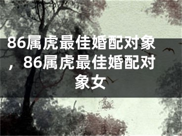 86属虎最佳婚配对象，86属虎最佳婚配对象女