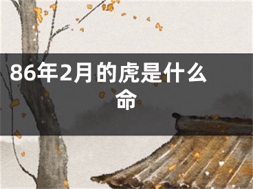 86年2月的虎是什么命