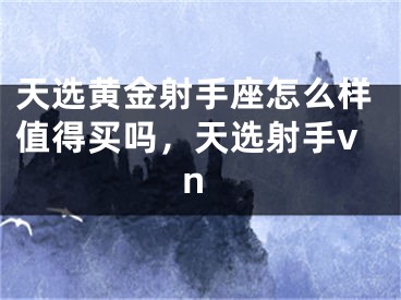 天选黄金射手座怎么样值得买吗,天选射手vn