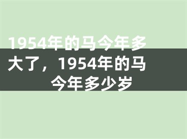 1954年的马今年多大了,1954年的马今年多少岁