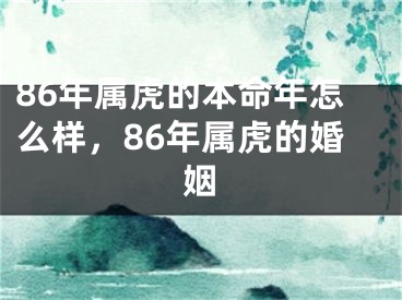 86年属虎的本命年怎么样，86年属虎的婚姻