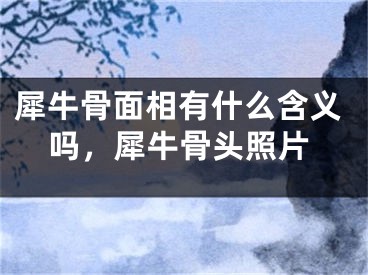 犀牛骨面相有什么含义吗，犀牛骨头照片