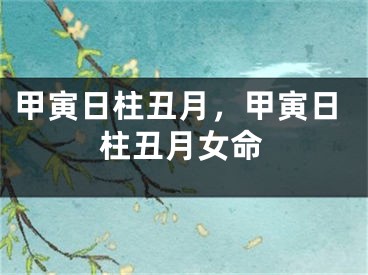 甲寅日柱丑月,甲寅日柱丑月女命