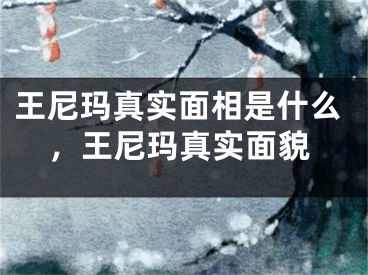王尼玛真实面相是什么,王尼玛真实面貌