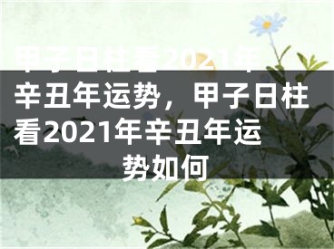 甲子日柱看2021年辛丑年运势,甲子日柱看2021年辛丑年运势如何