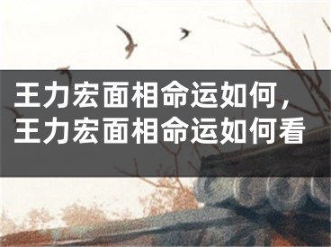 王力宏面相命运如何,王力宏面相命运如何看