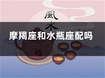 摩羯座和水瓶座配吗