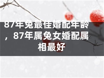87年兔最佳婚配年龄，87年属兔女婚配属相最好