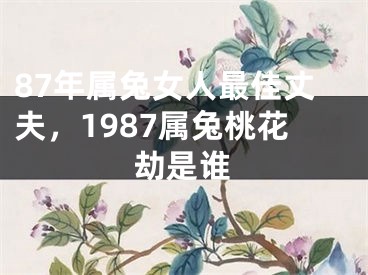 87年属兔女人最佳丈夫，1987属兔桃花劫是谁