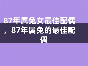 87年属兔女最佳配偶,87年属兔的最佳配偶