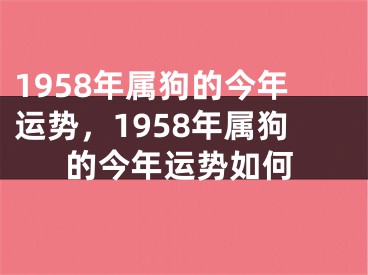 1958年属狗的今年运势,1958年属狗的今年运势如何