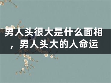男人头很大是什么面相,男人头大的人命运