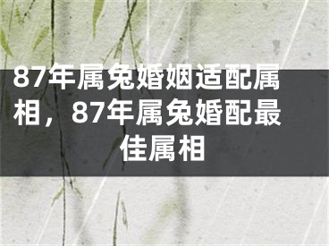 87年属兔婚姻适配属相，87年属兔婚配最佳属相