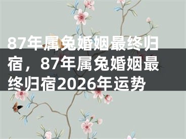 87年属兔婚姻最终归宿,87年属兔婚姻最终归宿2026年运势