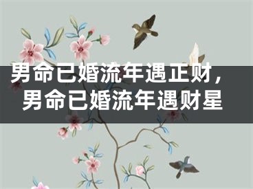 男命已婚流年遇正财,男命已婚流年遇财星