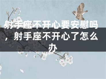 射手座不开心要安慰吗，射手座不开心了怎么办