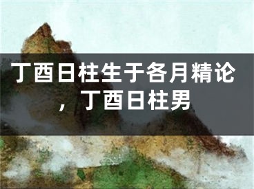 丁酉日柱生于各月精论，丁酉日柱男