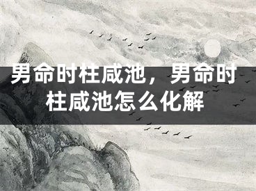 男命时柱咸池，男命时柱咸池怎么化解