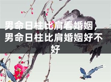 男命日柱比肩看婚姻,男命日柱比肩婚姻好不好