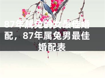 87年属兔的女最佳婚配,87年属兔男最佳婚配表