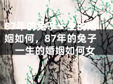 87年的兔子一生的婚姻如何,87年的兔子一生的婚姻如何女