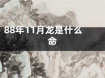 88年11月龙是什么命