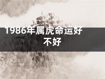 1986年属虎命运好不好