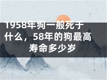 1958年狗一般死于什么,58年的狗最高寿命多少岁