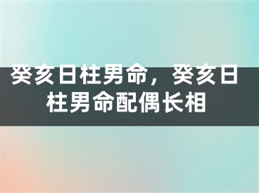 癸亥日柱男命，癸亥日柱男命配偶长相