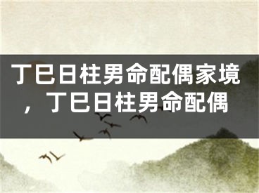 丁巳日柱男命配偶家境，丁巳日柱男命配偶