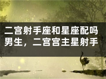 二宫射手座和星座配吗男生，二宫宫主星射手