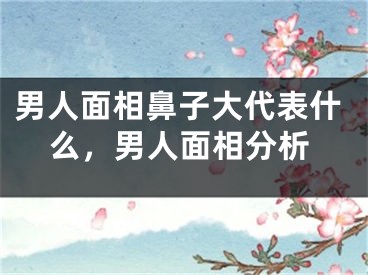 男人面相鼻子大代表什么，男人面相分析