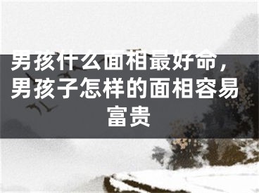 男孩什么面相最好命,男孩子怎样的面相容易富贵