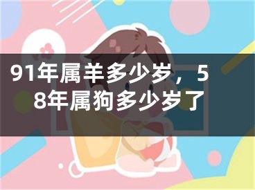 91年属羊多少岁，58年属狗多少岁了
