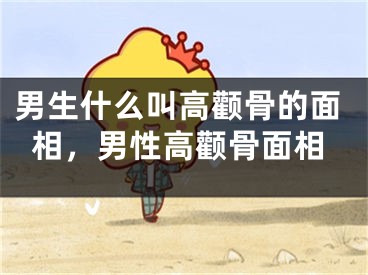 男生什么叫高颧骨的面相,男性高颧骨面相