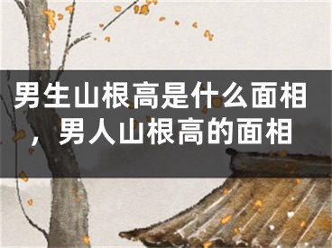 男生山根高是什么面相，男人山根高的面相