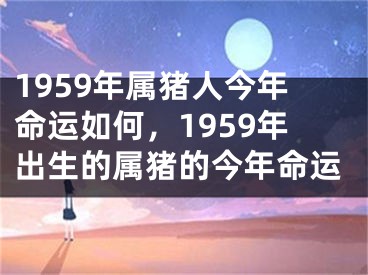 1959年属猪人今年命运如何，1959年出生的属猪的今年命运