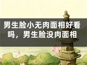 男生脸小无肉面相好看吗，男生脸没肉面相