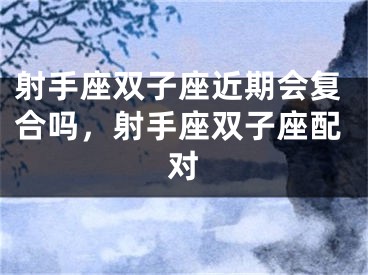 射手座双子座近期会复合吗,射手座双子座配对