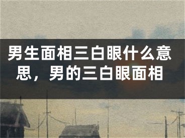 男生面相三白眼什么意思,男的三白眼面相