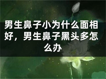 男生鼻子小为什么面相好,男生鼻子黑头多怎么办