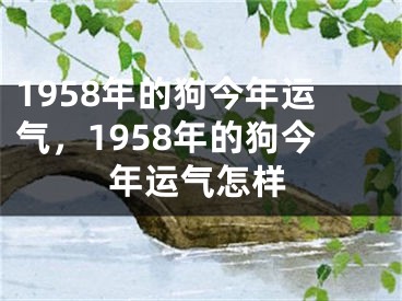 1958年的狗今年运气,1958年的狗今年运气怎样