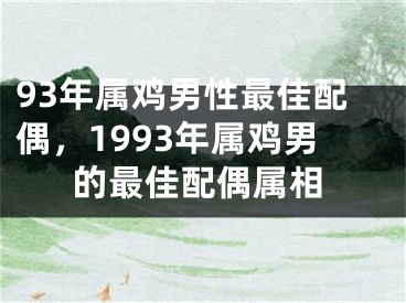 93年属鸡男性最佳配偶，1993年属鸡男的最佳配偶属相