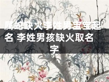 属蛇缺火李姓男宝宝起名 李姓男孩缺火取名字