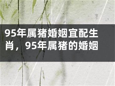 95年属猪婚姻宜配生肖，95年属猪的婚姻