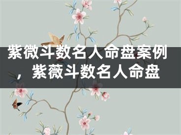 紫微斗数名人命盘案例，紫薇斗数名人命盘