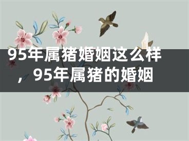 95年属猪婚姻这么样,95年属猪的婚姻
