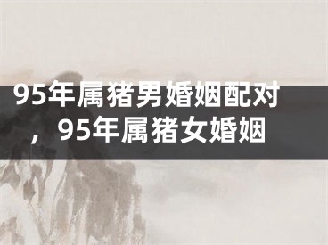 95年属猪男婚姻配对，95年属猪女婚姻