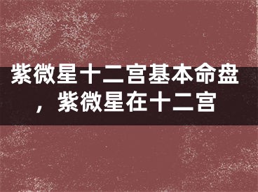 紫微星十二宫基本命盘,紫微星在十二宫