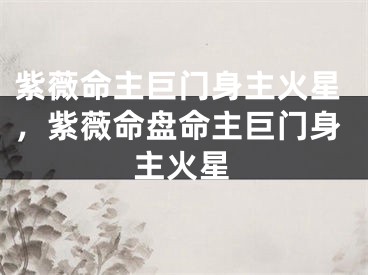 紫薇命主巨门身主火星，紫薇命盘命主巨门身主火星